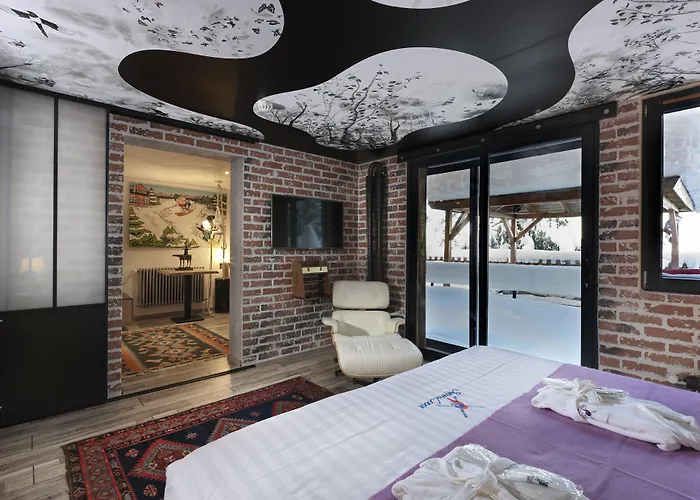 Snow 1850 谷雪维尔